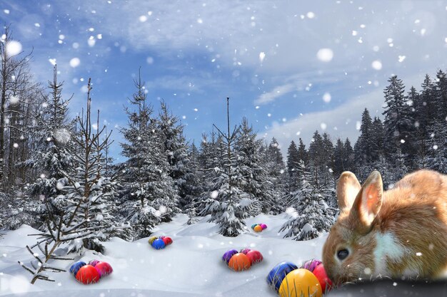 View of an animal on snow covered land