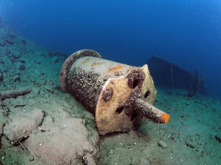 Photo view of an animal swimming in sea