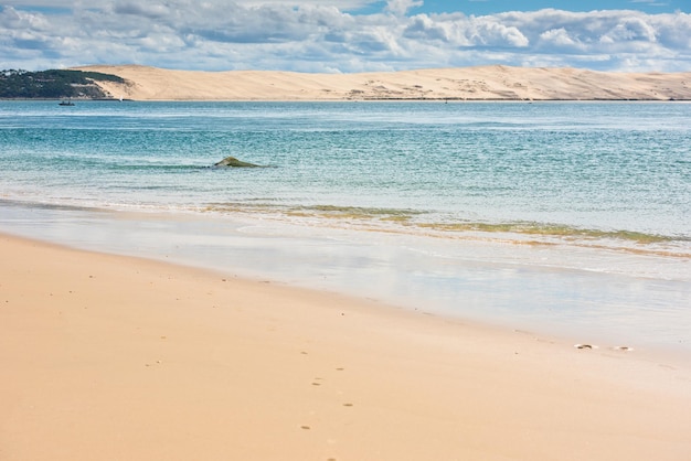 Vista della baia di arcachon e della duna di pyla, aquitania, francia