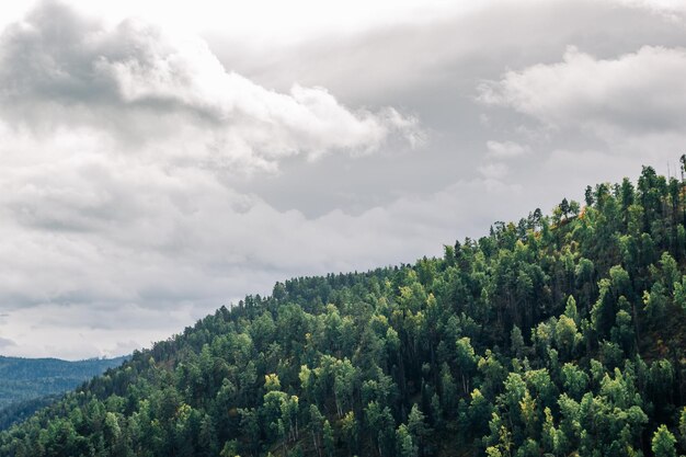 View of atomspheric dramatic cloud over green forest