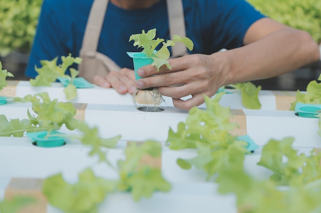 View of an attractive farmer in a greenhouse using tablet