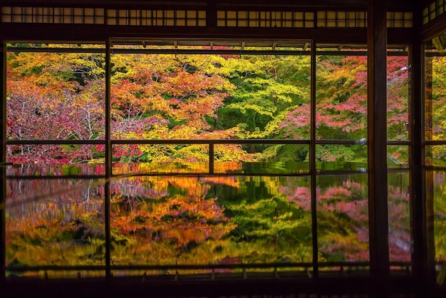 京都の古い寺院から秋の色を眺める