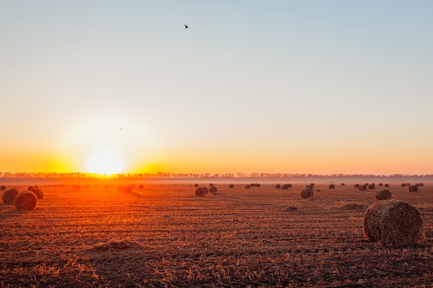 View of autumn field with haystacks at sunset. Beautiful ukrainian landscape