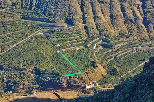 로스 야노스 라 팔마 스페인(Los Llanos La Palma Spain)의 농업 섬에 있는 바나나 농장의 전망 위 바위 언덕이나 산에 무성한 녹색 식물이 있는 넓은 경작지 또는 열대 들판의 풍경