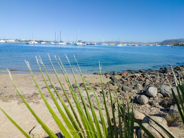 A view of the bay from the beach