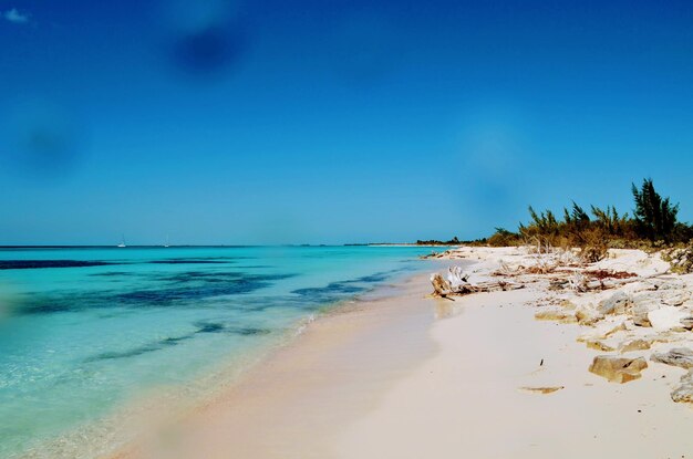 View of beach against blue sky