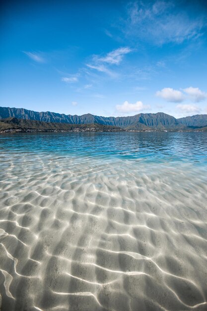 Foto vista della spiaggia contro il cielo blu