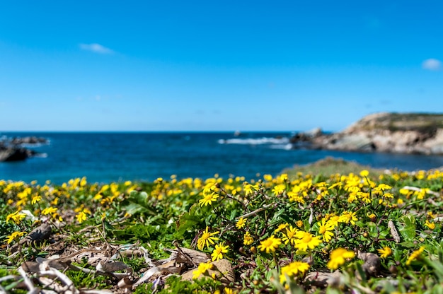 Vista della spiaggia di coscia di donna in una giornata di sole