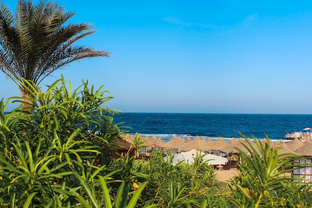 View of the beach on the red sea