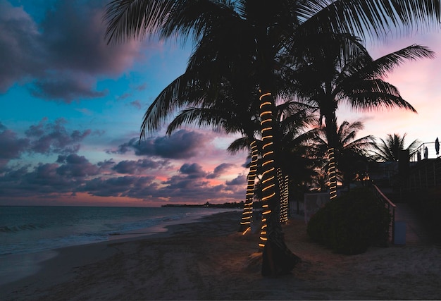 A view of the beach at sunset with palms Colorful sky full of clouds near the sea