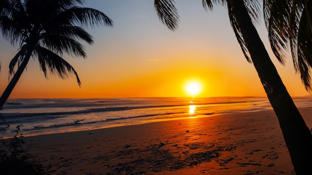 View of beach with sunset and palm trees