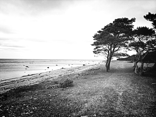 Photo view of the beach