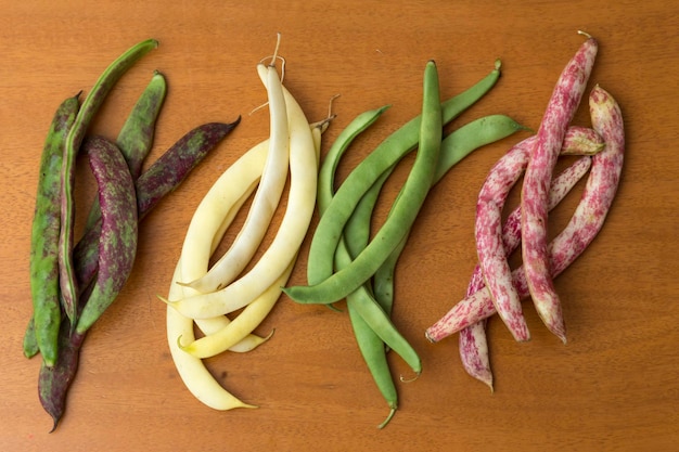 View of bean pods of different types and colors