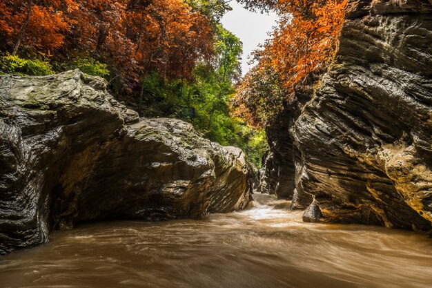 View of a beautiful autumn creek in Wangsirareng Nan Thailand