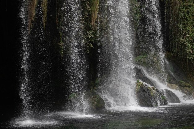 Vista della bellissima bella cascata nella foresta.