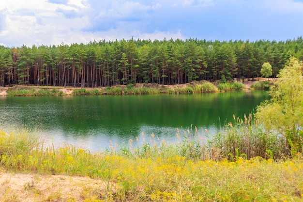 View of a beautiful lake in a pine forest at summer