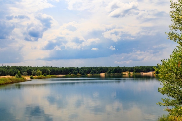 View of a beautiful lake in a pine forest at summer