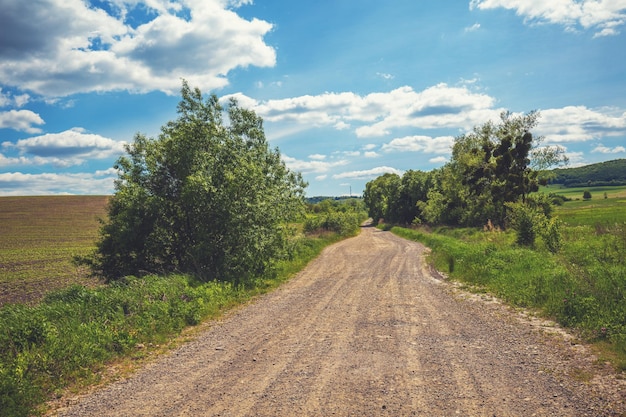 View of beautiful rural landscape on a sunny day Country dirt road in the fields