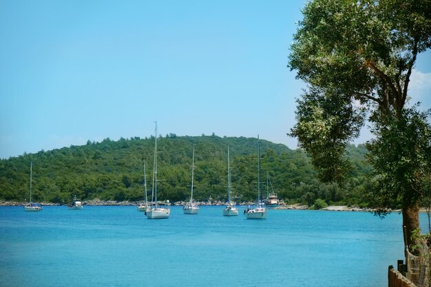 View of beautiful sea coast with ships on sunny day