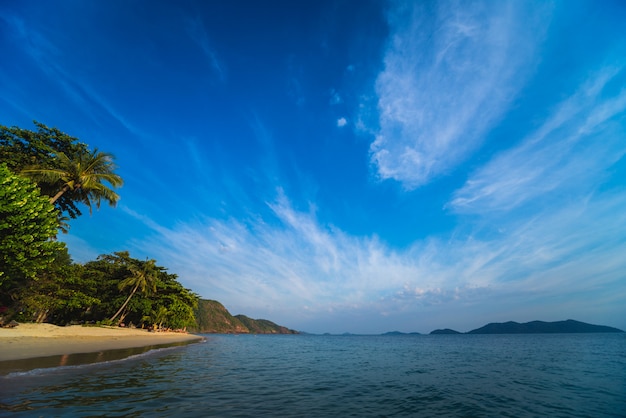 View of beautiful tropical beach with palms.