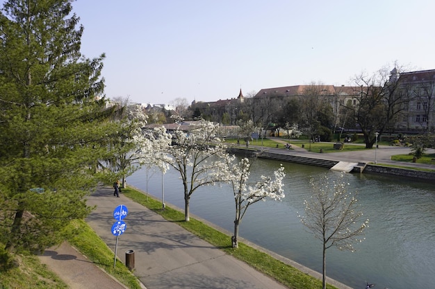 View over the Bega River in romania