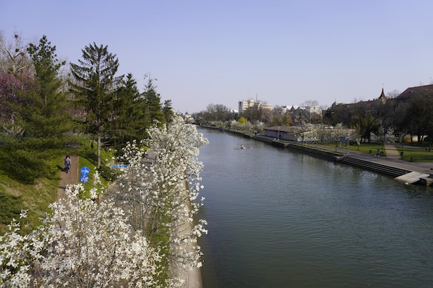 View over the bega river in romania