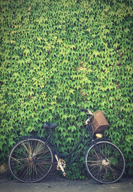 Foto una vista di una bicicletta