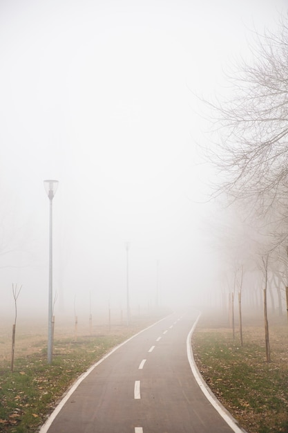 View at bike path in the foggy winter day