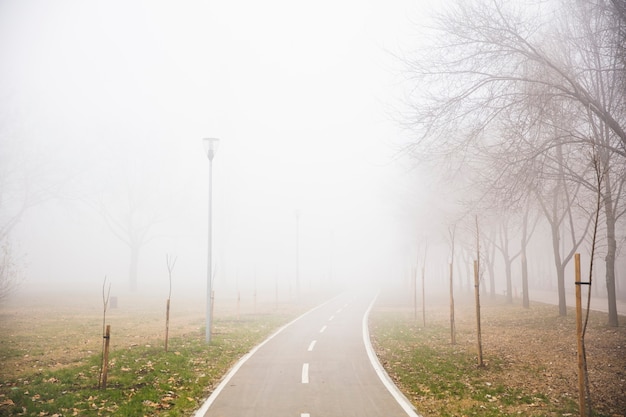 View at bike path in the foggy winter day