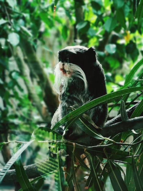 Photo view of a bird on a land