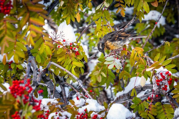 View of bird perching on plant