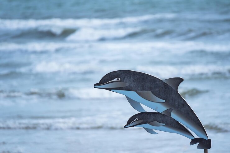 फोटो view of a bird in the sea