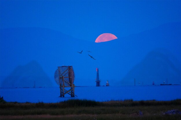 View of birds flying over land