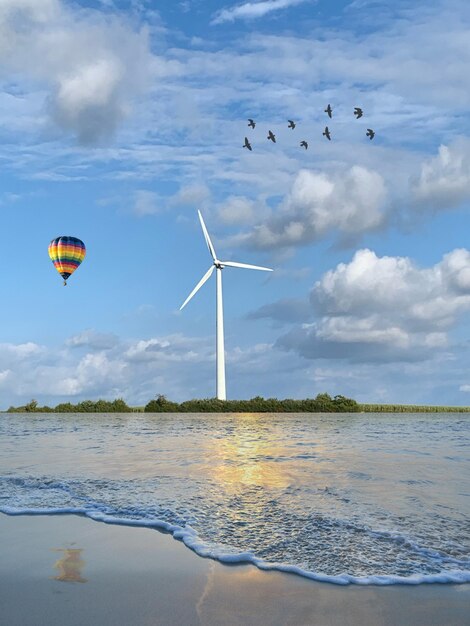 View of birds flying in sky