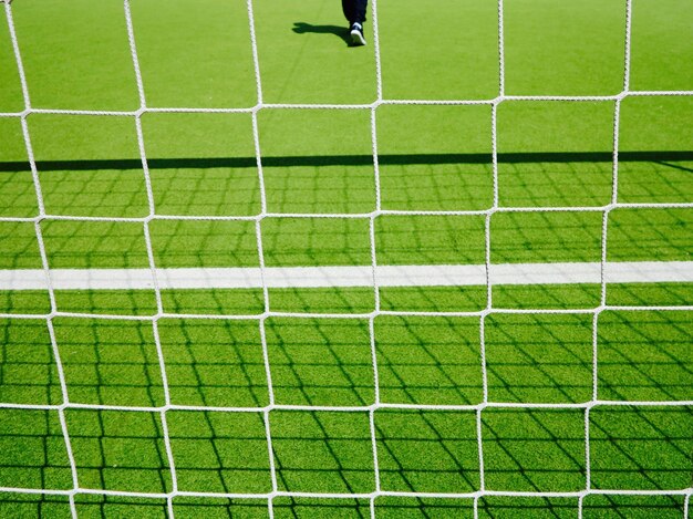 Foto veduta degli uccelli sul campo erboso