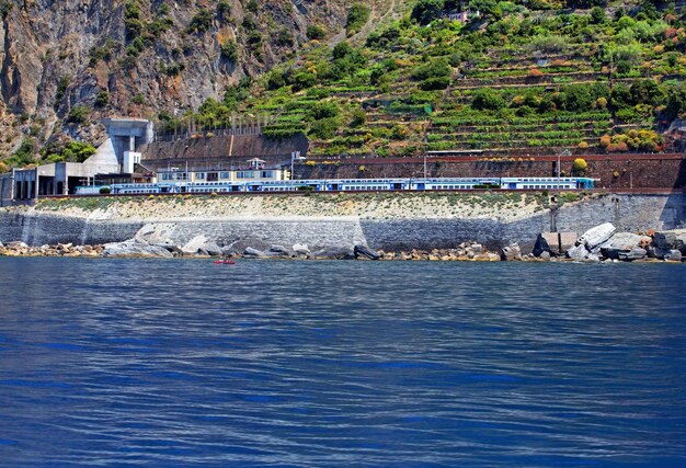 Foto veduta degli uccelli in mare