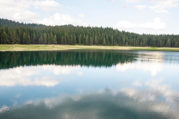 View on black lake in forest mountains in Montenegro with grass