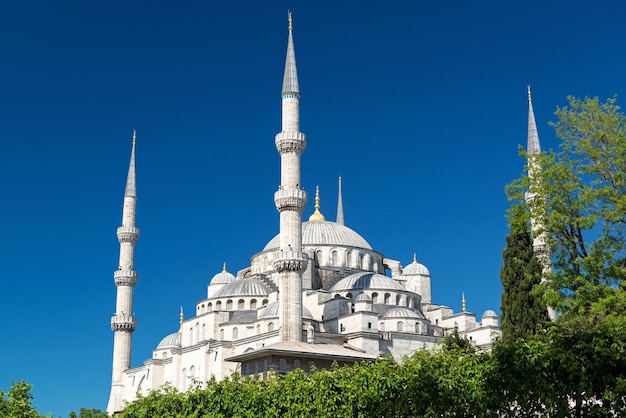 View of the Blue Mosque Sultanahmet Camii in Istanbul Turkey