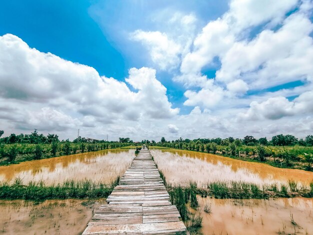 View of boardwalk on field against sky