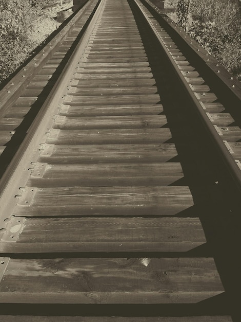 Photo view of boardwalk