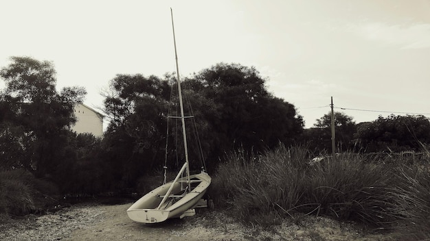 Photo view of boat against trees and sky