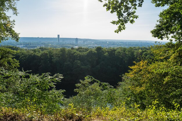 Photo view over bonn over the lake dornheckensee on a hot summer day