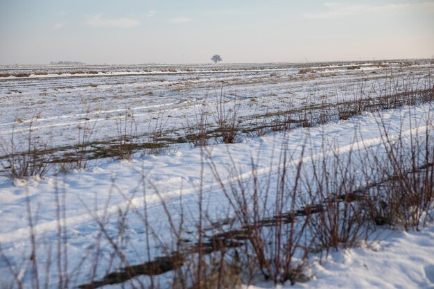 Photo a view of the boundless open space of a snowcovered field