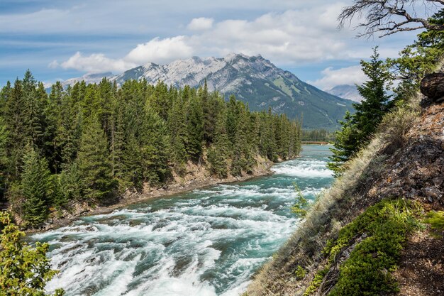 Vista di bow fall e bow river