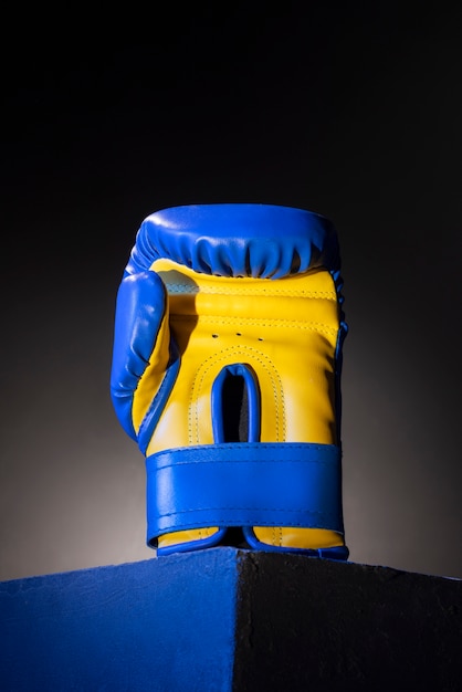 Photo view of boxing glove