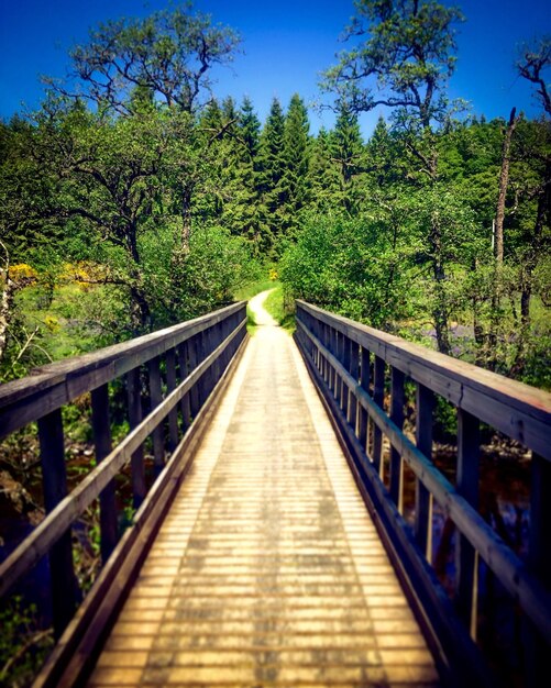 View of bridge against blue sky