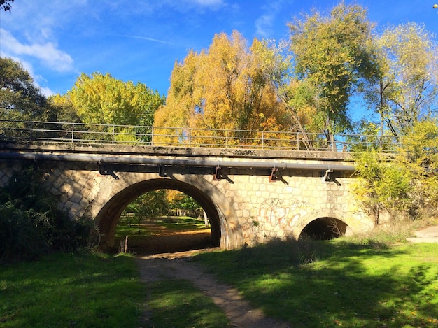 Photo view of bridge against trees