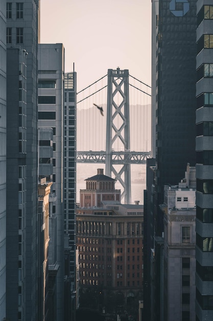 Photo view of bridge amidst building