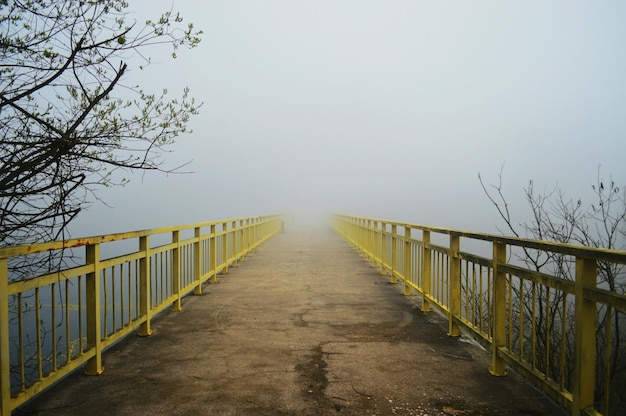 霧の天候での橋の景色