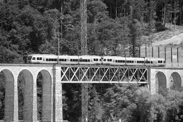 View of bridge over forest